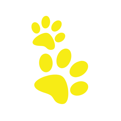 yellow paws