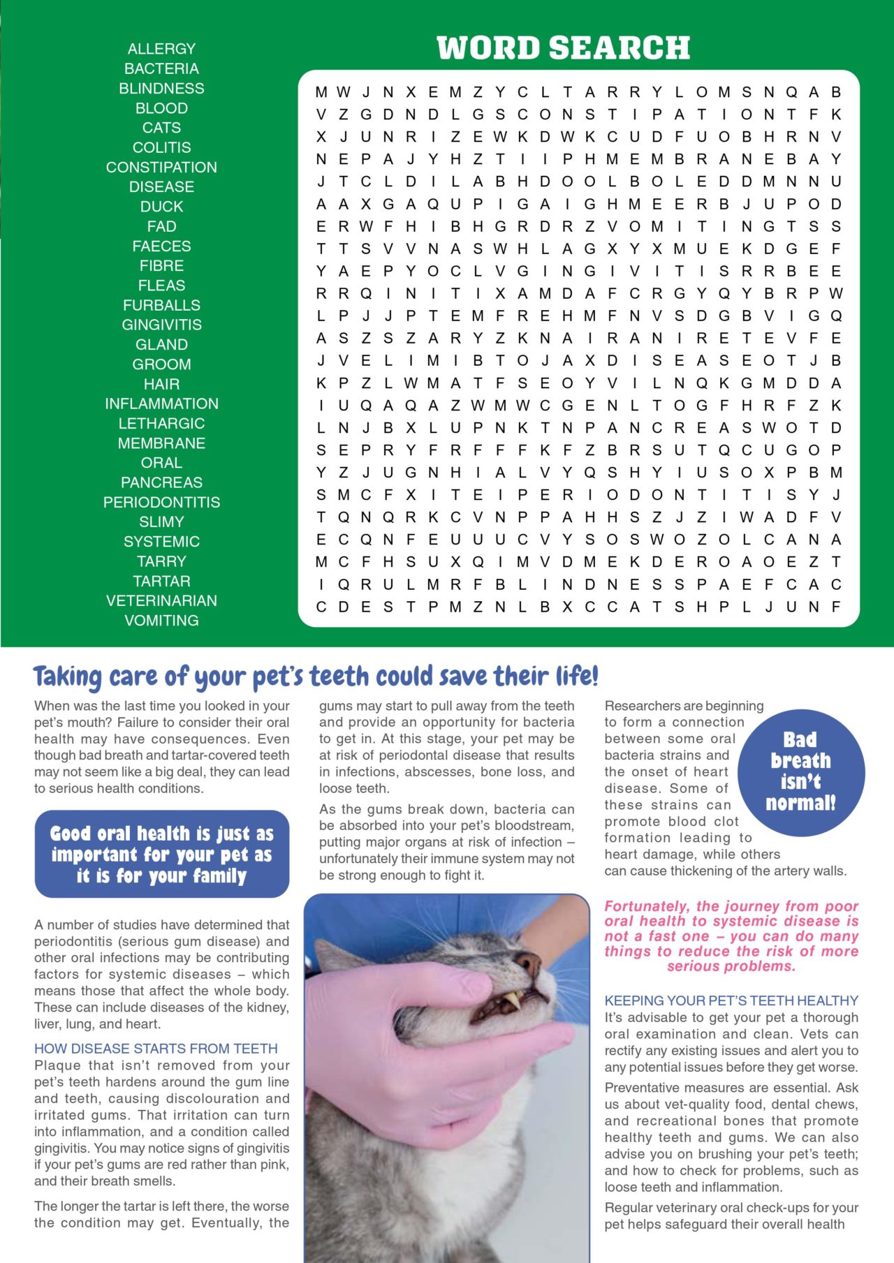 Your Vet Spring 2021 Busselton Vet Hospital