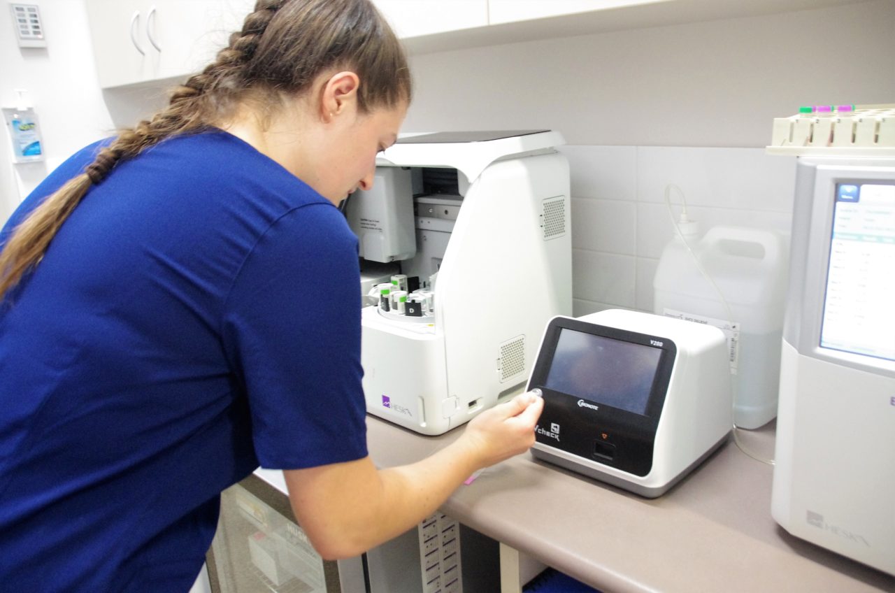 Test In House Lab Pet Blood Testing & In-House Lab | Busselton Vet Hospital