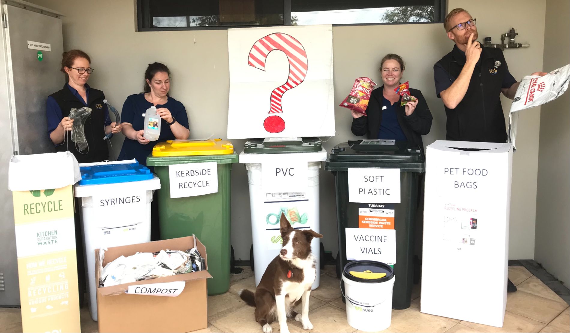 Sustainability - dog recycling